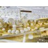 1/350 Venezia Large Cruiser Deluxe (Static RC compatibility)