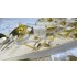 1/350 Preussen H42 Super Battleship (Static RC compatibility)