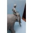 1/35 Indian Man (without elephant)