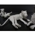 1/35 (54mm) Wild Life Series - Family of Lions (6pcs, resin)