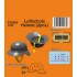 1/35 WWII Luftschutz Helmet (2pcs)