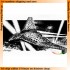 1/72 German Focke-Wulf "Enntwurf B 3x1000"