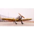 1/72 US/Australian PT-20/STM-2 1/72 Ultra Limited Kit