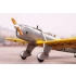 1/72 US/Australian PT-20/STM-2 1/72 Ultra Limited Kit