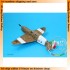1/48 Nardi F.N.305 "Italian Trainer" (Italy, France)