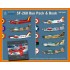 1/72 SIAI-Marchetti SF-260 Duo Pack & Book