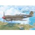 1/72 TP-40N 'Two-seat Warhawk'