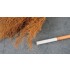 Teloxys Aristata (box: 30 x 5 x 5cm) for Making Tree Leaves