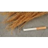 Common Reed & 1x Leave Sheet (box: 26 x 9 x 6cm)