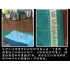 Common Reed & 1x Leave Sheet (box: 26 x 9 x 6cm)
