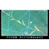 Common Reed & 1x Leave Sheet (box: 26 x 9 x 6cm)
