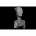 1/10 W.Y.Cavalry Bust