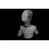 1/10 W.Y.Cavalry Bust