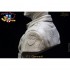 1/10 C.L.Chennault Bust