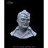 1/10 Klingon Warrior Bust