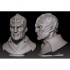 1/10 Klingon Warrior Bust