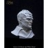 1/10 Klingon Warrior Bust
