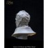 1/10 Klingon Warrior Bust