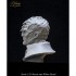 1/10 Klingon Warrior Bust