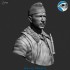 1/12 Werner Molders Bust