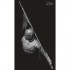 1/12 Reg.Farnesio Vol.5