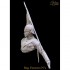 1/12 Reg.Farnesio Vol.5