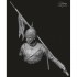 1/12 Reg.Farnesio Vol.5