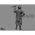 90mm Scale The Falconer