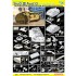 1/35 WWII StuG.III Ausf.G, Dec 1943 Production