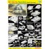 1/35 OT-34/76 Mod.1943 No.112 Factory (Smart kit)