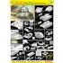 1/35 OT-34/76 Mod.1943 No.112 Factory (Smart kit)