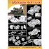 1/72 SAS Raider 4x4 Truck, North European Theatre 1944