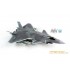 1/72 Chinese Chengdu J-20 Stealth Fighter in Service