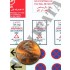 1/72 Iraq War Base/Checkpoint Sign