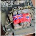1/35 AL-140 Recognition Panels