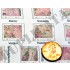 1/35 WWII Allied North East France Maps
