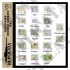1/72 WWII Allied Western Germany Maps