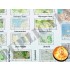 1/35 WWII Allied Netherlands Maps