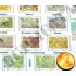1/35 WWII Allied Belgium Maps