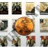 1/72 WWII German Propaganda