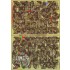 Decals for 1/35 BEF Matildas
