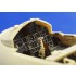 Colour Photoetch for 1/32 F-15C Eagle Interior for Tamiya kit