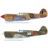 1/48 RAAF Curtiss P-40E Warhawk Dual Combo [Royal Class]