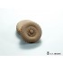 1/35 US Army M1278 Heavy Carrier-General Purpose (JLTV-GP) Sagged Wheels for Trumpeter Kit