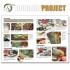Diorama Project 1.1 - AFV at WAR (English, 120 Pages)