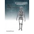 1/35 Human Skeleton (3d printed)