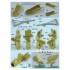 1/700 USS Kitty Hawk CV-63 2006 Super Upgrade Detail set for Trumpeter kit #06714