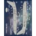 1/144 P-8A Poseidons of the Fleet Decal for Academy kit