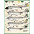 1/48 Iron Tadpoles: A-6A/B Intruders of the Vietnam War Decals for Hobby Boss kits