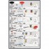 Decals for 1/48 White Knights Northrop T-38A/AT-38B